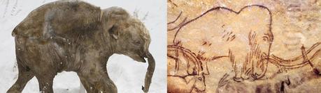 Las plumas del dinosaurio