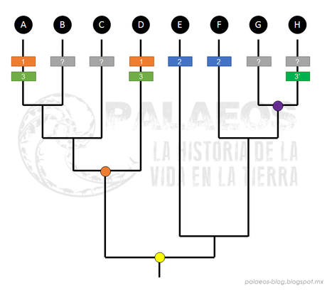 Las plumas del dinosaurio