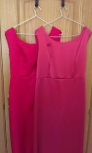 16328_10204436968336870_755251197768932024_n