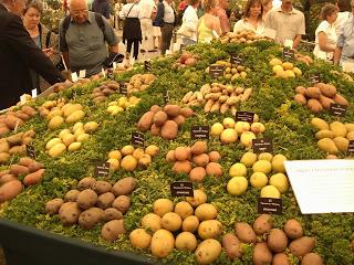 PATATAS: TRABAJAR LO JUSTO