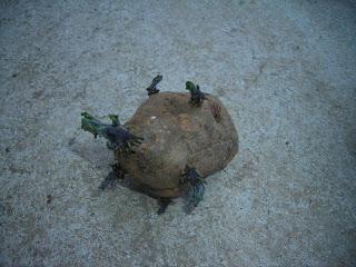 PATATAS: TRABAJAR LO JUSTO