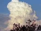 Meteorólogos: ¿porque