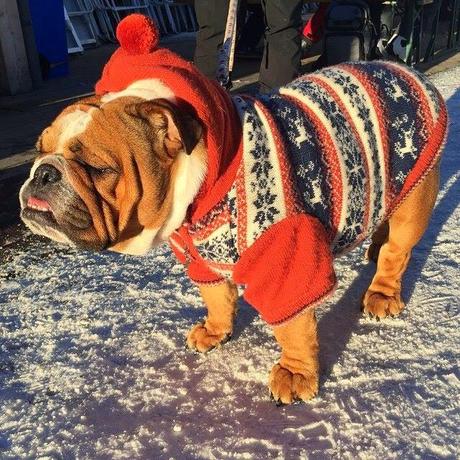 Capítulo 3: de cuando la condesa Marigem encontró a Lewis