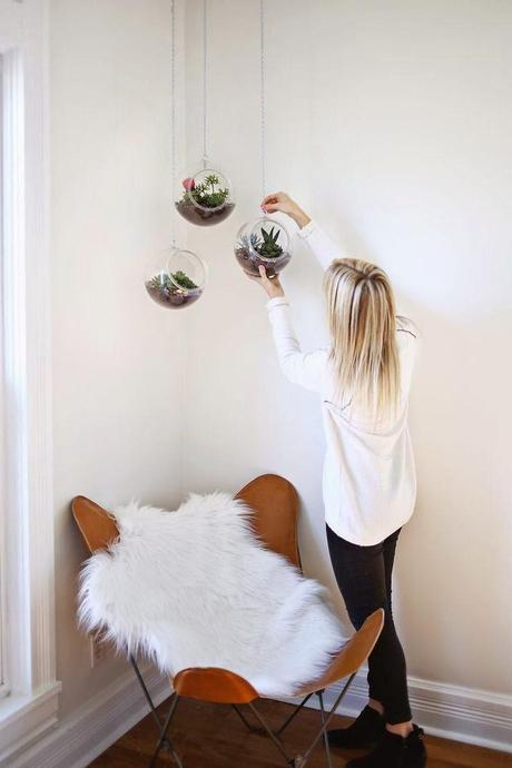 La Butaca... Plantas colgantes dentro de casa