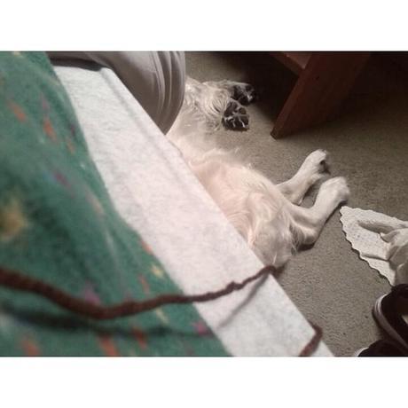 Proyecto 365: Noviembre