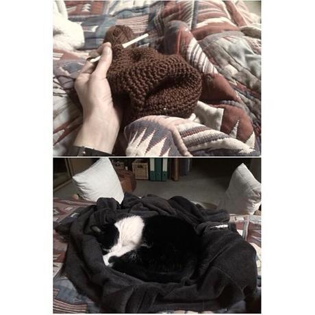 Proyecto 365: Noviembre