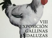 VIII edición Exposición Gallinas Andaluzas Sureñas congregará 20.000 visitantes