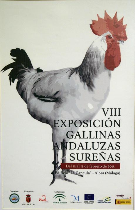 La VIII edición de la Exposición de Gallinas Andaluzas Sureñas congregará a más de 20.000 visitantes