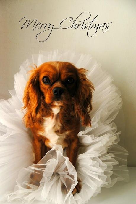 felicitación de navidad