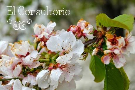 Inauguramos nueva sección, el Consultorio consultas y dudas personales sobre deporte y nutrición