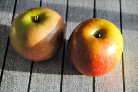 Consejos para diseñar un menú + menú 1200 calorías fruta