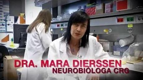 Brain training: El videojuego que ayudar a personas con discapacidad psíquica