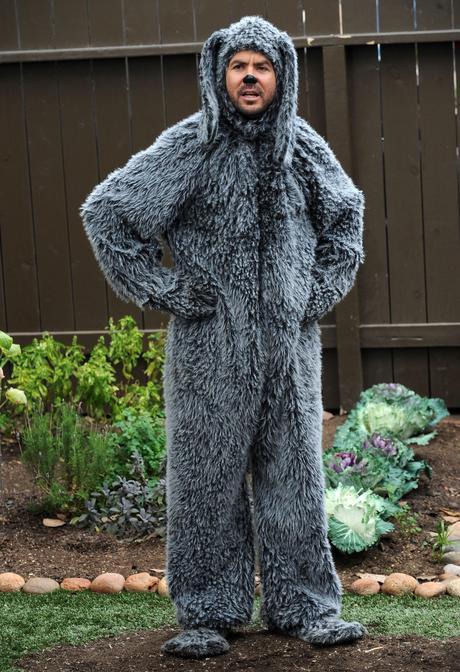 Dioses seriéfilos: Wilfred