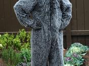 Dioses seriéfilos: Wilfred