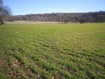 150212 campos  veza 1