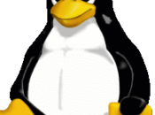 Como leer particiones Linux Windows