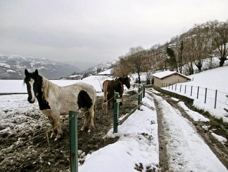 Carabanzo-Pico Ranero
