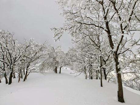 Carabanzo-Pico Ranero