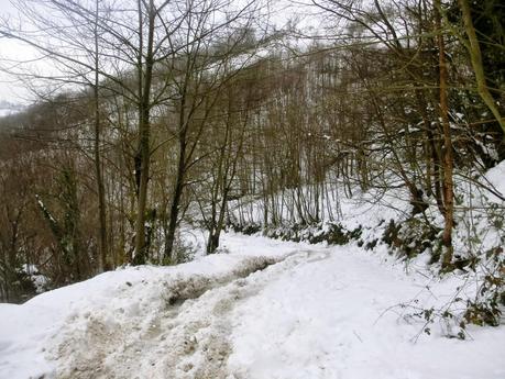 Carabanzo-Pico Ranero