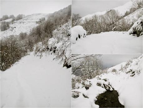 Carabanzo-Pico Ranero