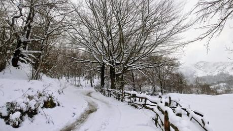 Carabanzo-Pico Ranero