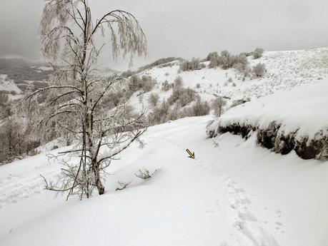 Carabanzo-Pico Ranero