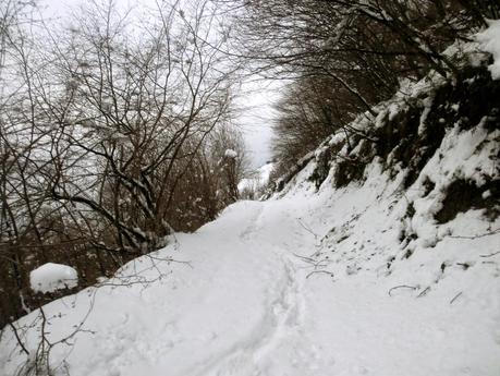 Carabanzo-Pico Ranero