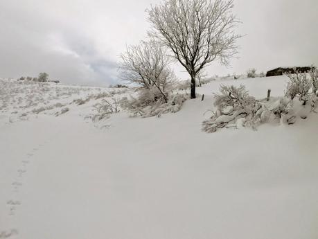 Carabanzo-Pico Ranero
