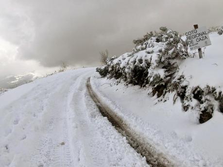 Carabanzo-Pico Ranero