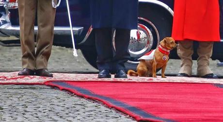 EXCELENTE CEREMONIAL MADE IN ITALY