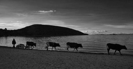 El lago Titicaca. Foto: Sara Gordón