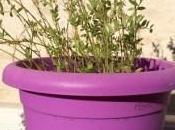 Truco para dejar chupete