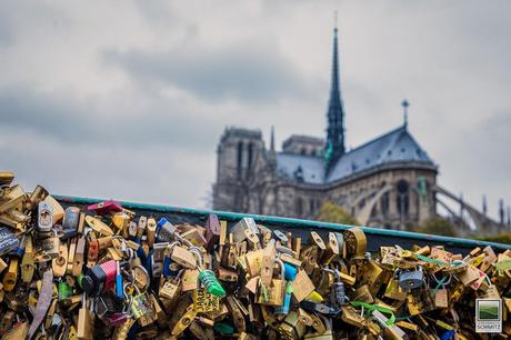 Paris love padlocks with Notre Dame