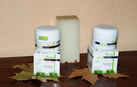 8 productos aloevera para mejorar tu look 8 productos aloevera para mejorar tu look