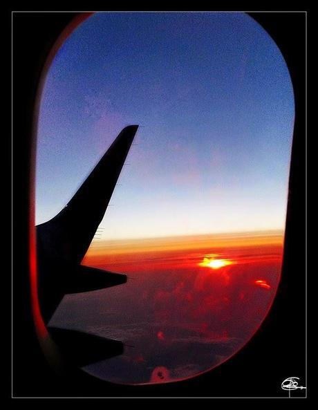 Día 15: Ámsterdam - Fin de la aventura