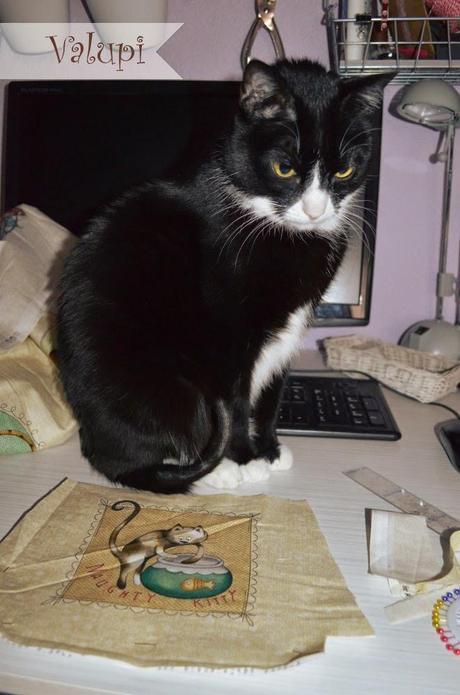 Neceser gatuno - RUMS #7/15 Neceser gatuno - RUMS #7/15