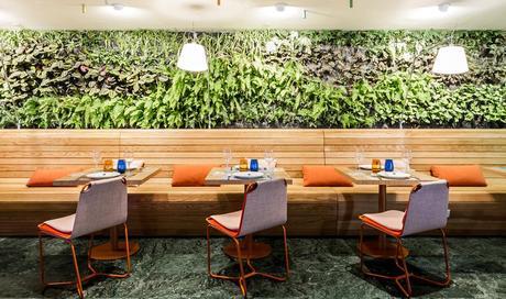 Disfrutar del queso en un ambiente delicioso porcelet_09