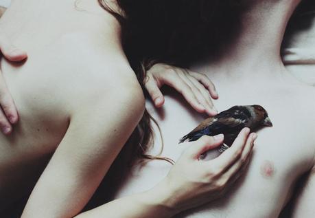 Cita #5 Hojas de Hierba