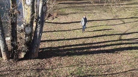 liberty, Islamic terrorism. vide art.