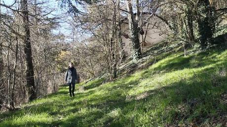 liberty, Islamic terrorism. vide art.