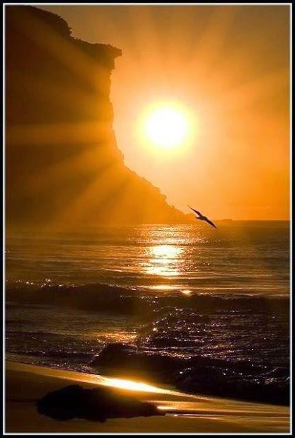 QUIERO APRENDER DE LAS AVES...