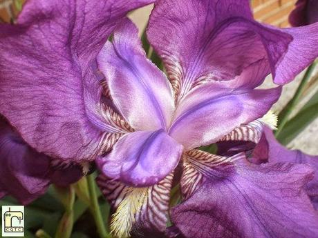 La lista de blogs favoritos