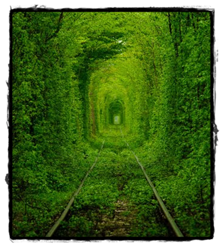 El túnel del amor
