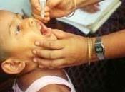 meningococo, mortalidad vacunación