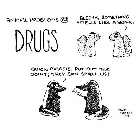 humor infantil cuentos animales