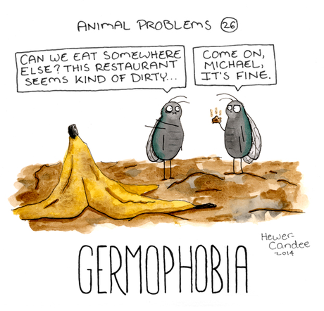 humor infantil cuentos animales