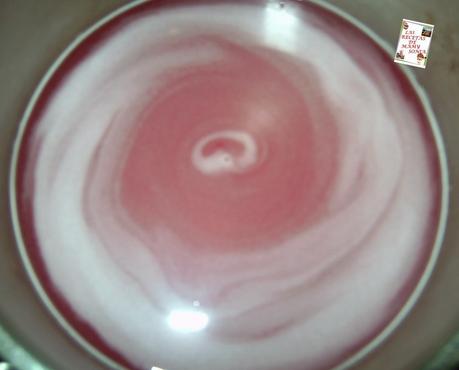 TARTA DE MOUSSE DE FRESAS