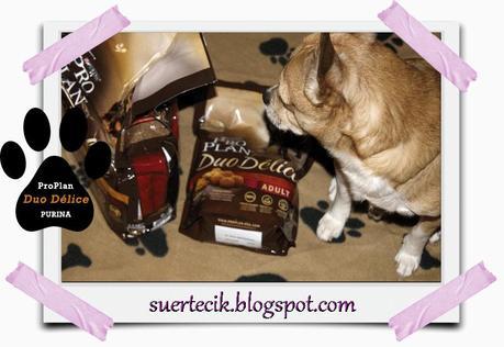 Pro Plan Duo Délice