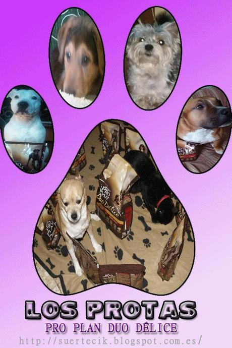 Pro Plan Duo Délice