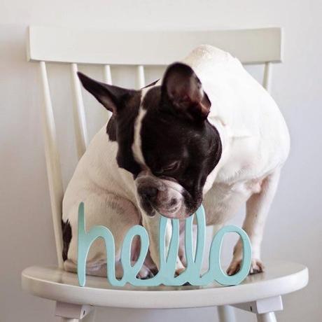 D-Signed by...BOHO DECO SHOP, novedades y nuestra primera pop up store en Valencia! D-Signed by...BOHO DECO SHOP, novedades y nuestra primera pop up store en Valencia!